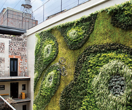 Downtown Boutique Hotel, Mexico