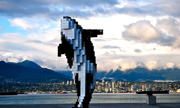Digital Orca, Vancouver