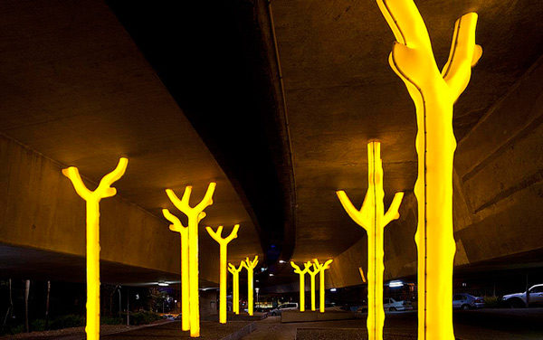Light Trees, Sydney