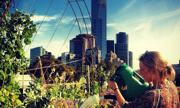 Popup Veggie Patch, Melbourne