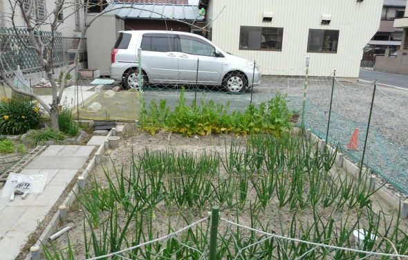 DIY Gardening, Tokyo